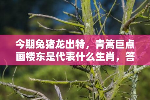 今期兔猪龙出特，青篙巨点画楼东是代表什么生肖，答案分析落实
