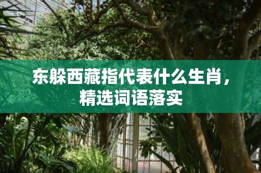 东躲西藏指代表什么生肖，精选词语落实