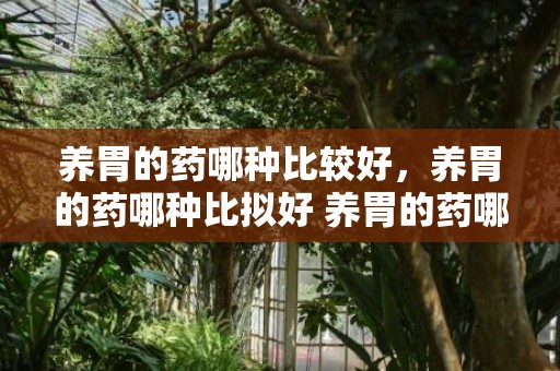 养胃的药哪种比较好，养胃的药哪种比拟好 养胃的药哪种比拟好