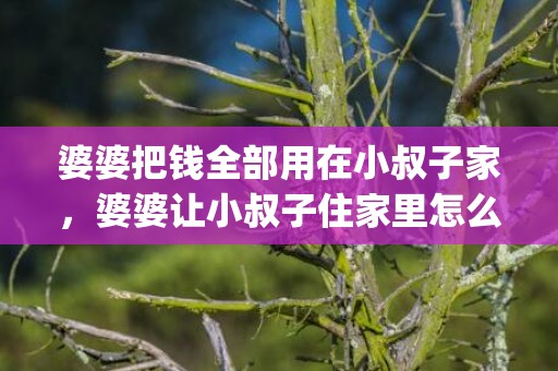 婆婆把钱全部用在小叔子家，婆婆让小叔子住家里怎么办(小叔子结婚婆婆让我们房子给他住)