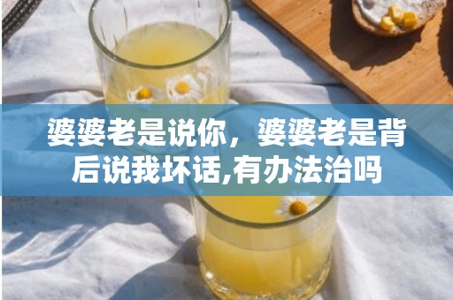婆婆老是说你，婆婆老是背后说我坏话,有办法治吗