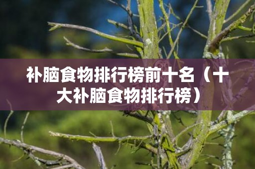 补脑食物排行榜前十名（十大补脑食物排行榜）