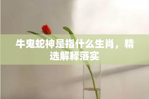 牛鬼蛇神是指什么生肖，精选解释落实