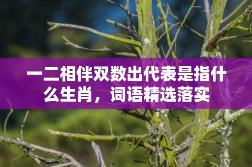 一二相伴双数出代表是指什么生肖，词语精选落实