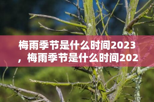 梅雨季节是什么时间2023，梅雨季节是什么时间2023