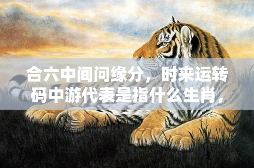 合六中间问缘分，时来运转码中游代表是指什么生肖，词语精选落实