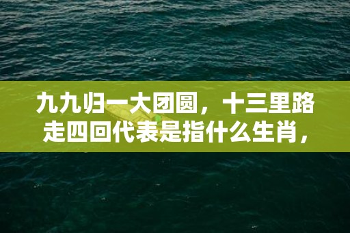 九九归一大团圆，十三里路走四回代表是指什么生肖，词语精选落实