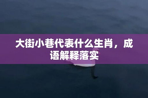大街小巷代表什么生肖，成语解释落实