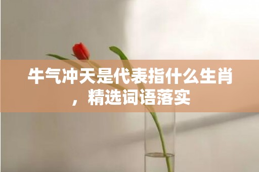 牛气冲天是代表指什么生肖，精选词语落实