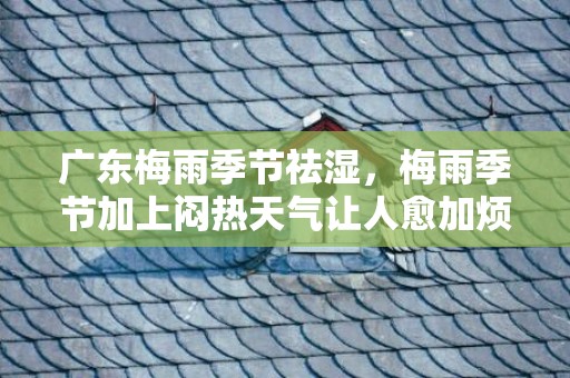 广东梅雨季节祛湿，梅雨季节加上闷热天气让人愈加烦闷不安湿气过重
