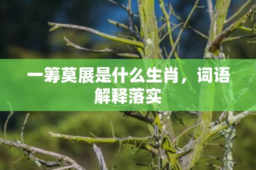 一筹莫展是什么生肖，词语解释落实