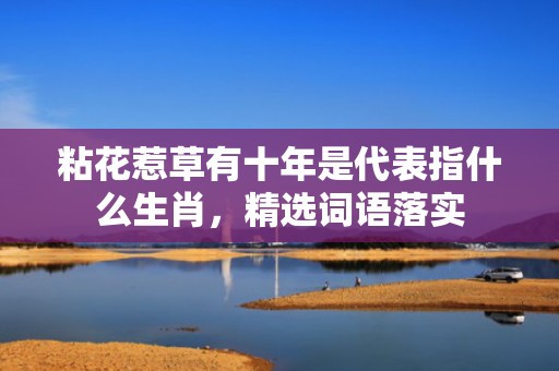 粘花惹草有十年是代表指什么生肖，精选词语落实