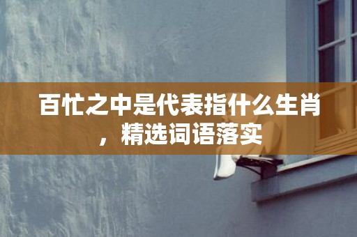 百忙之中是代表指什么生肖，精选词语落实