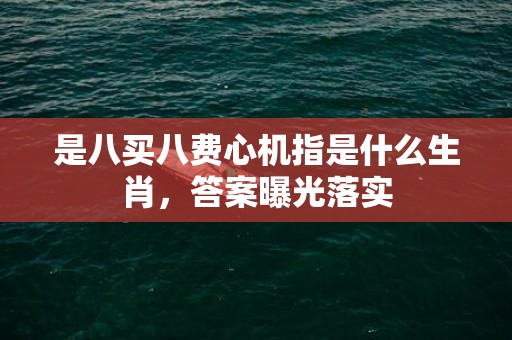 是八买八费心机指是什么生肖，答案曝光落实