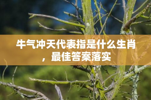 牛气冲天代表指是什么生肖，最佳答案落实