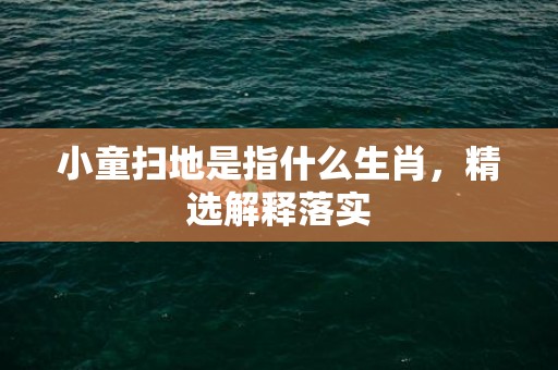 小童扫地是指什么生肖，精选解释落实