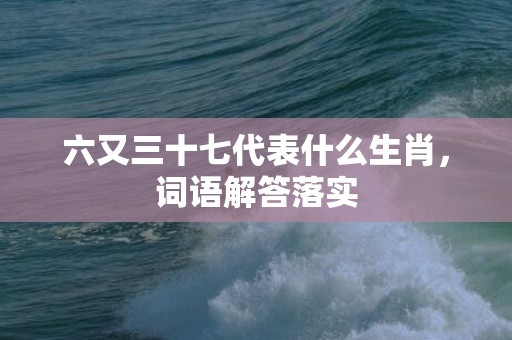 六又三十七代表什么生肖，词语解答落实