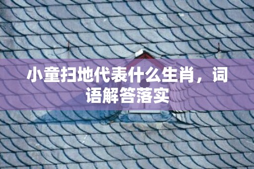小童扫地代表什么生肖，词语解答落实