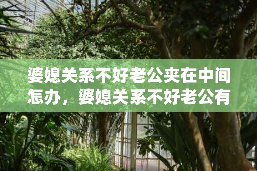 婆媳关系不好老公夹在中间怎办，婆媳关系不好老公有责任吗 丈夫怎么处理好婆媳关系