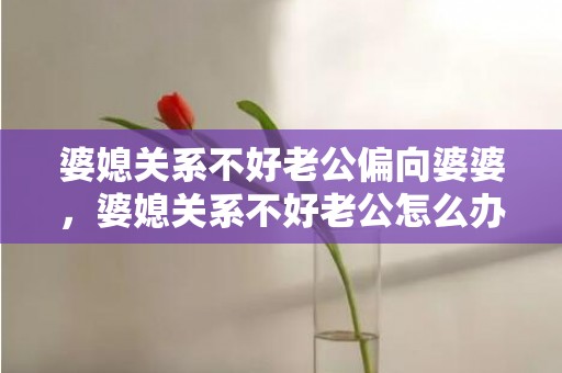 婆媳关系不好老公偏向婆婆，婆媳关系不好老公怎么办 记住这12种协调方法？婆媳关系不好是在害谁
