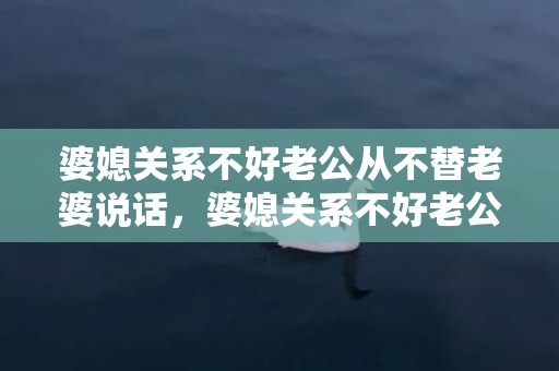 婆媳关系不好老公从不替老婆说话，婆媳关系不好老公偏向婆婆说说怎么写，老公偏向婆婆怎么对付