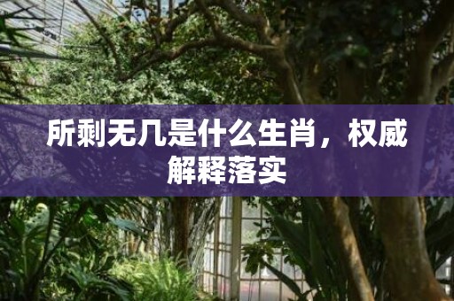 所剩无几是什么生肖，权威解释落实
