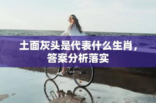 土面灰头是代表什么生肖，答案分析落实