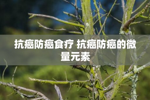 抗癌防癌食疗 抗癌防癌的微量元素