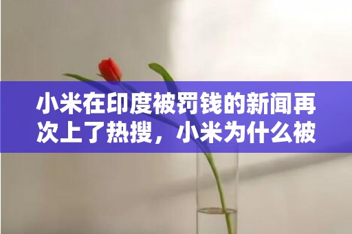 小米在印度被罚钱的新闻再次上了热搜，小米为什么被印度罚钱 小米被印度没收48亿元原因介绍