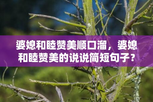 婆媳和睦赞美顺口溜，婆媳和睦赞美的说说简短句子？夸赞婆媳关系和谐词句