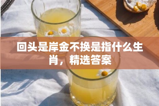 回头是岸金不换是指什么生肖，精选答案
