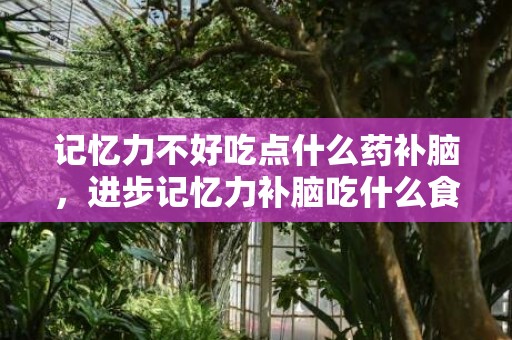 记忆力不好吃点什么药补脑，进步记忆力补脑吃什么食品 进步记忆力补脑吃什么食品