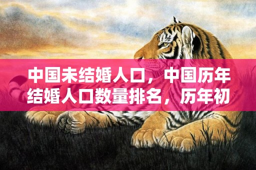 中国未结婚人口，中国历年结婚人口数量排名，历年初婚人数
