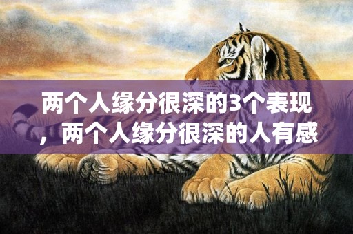 两个人缘分很深的3个表现，两个人缘分很深的人有感应(佛说缘分尽了会有预兆)