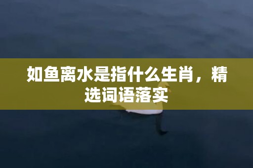 如鱼离水是指什么生肖，精选词语落实