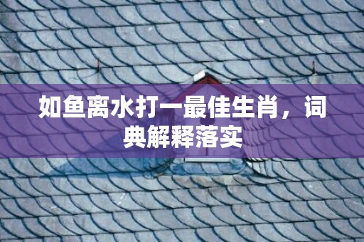 如鱼离水打一最佳生肖，词典解释落实