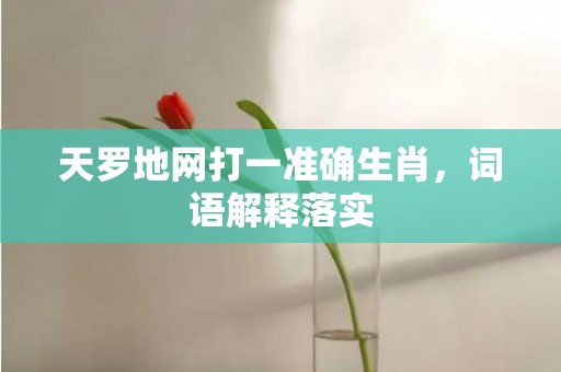 天罗地网打一准确生肖，词语解释落实