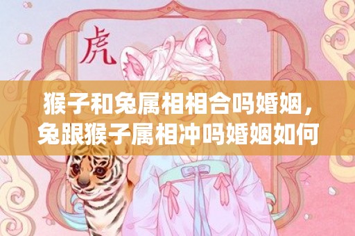 猴子和兔属相相合吗婚姻，兔跟猴子属相冲吗婚姻如何(兔子猴子生肖相冲)