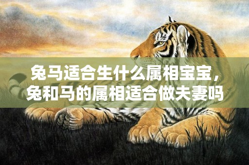 兔马适合生什么属相宝宝，兔和马的属相适合做夫妻吗 兔与马相配婚姻幸福吗