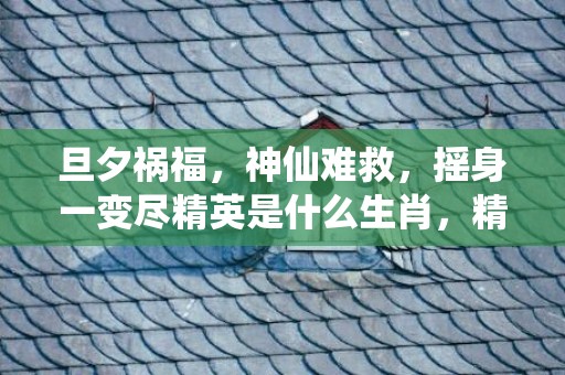 旦夕祸福，神仙难救，摇身一变尽精英是什么生肖，精选解释落实