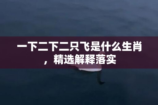 一下二下二只飞是什么生肖，精选解释落实
