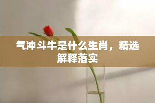 气冲斗牛是什么生肖，精选解释落实