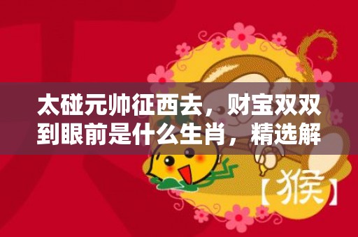 太碰元帅征西去，财宝双双到眼前是什么生肖，精选解释落实