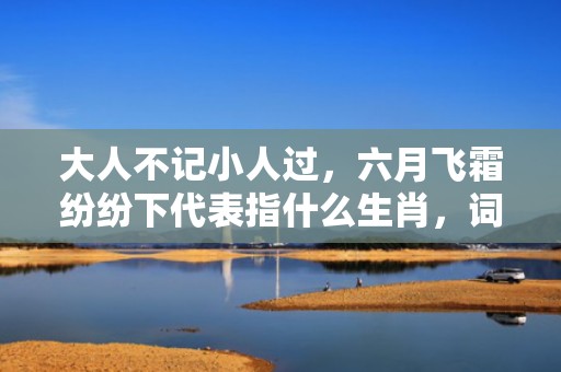 大人不记小人过，六月飞霜纷纷下代表指什么生肖，词语解释落实