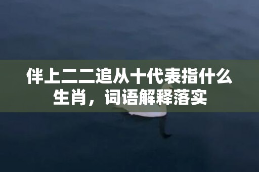 伴上二二追从十代表指什么生肖，词语解释落实