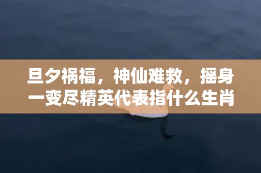 旦夕祸福，神仙难救，摇身一变尽精英代表指什么生肖，词语解释落实