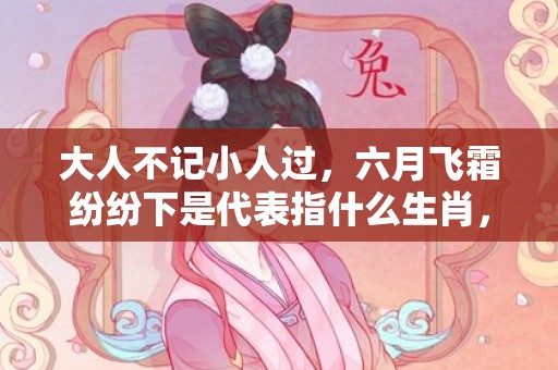 大人不记小人过，六月飞霜纷纷下是代表指什么生肖，精选答案落实