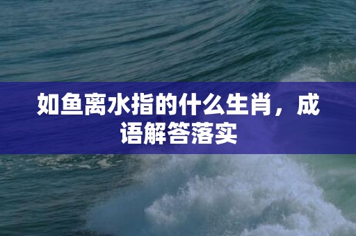 如鱼离水指的什么生肖，成语解答落实