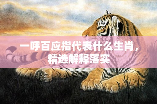 一呼百应指代表什么生肖，精选解释落实