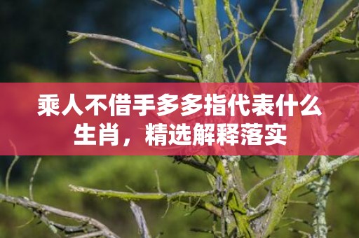 乘人不借手多多指代表什么生肖，精选解释落实